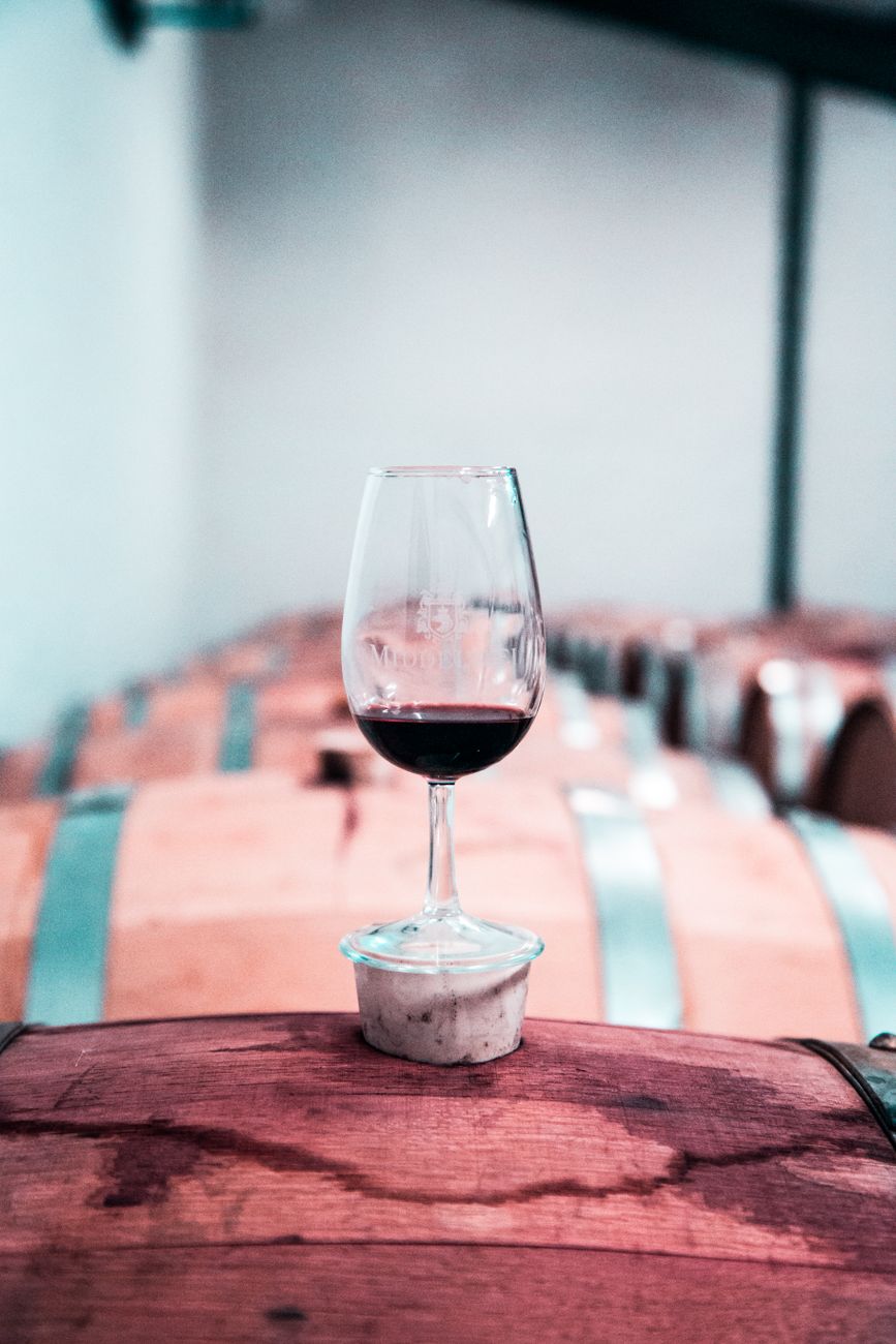 Bodega en Mendoza con barricas de roble y viñedo al pie de los Andes